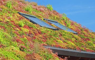 Stanford End living roof systems